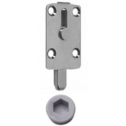 Rygiel IPA 23301-51ocynk