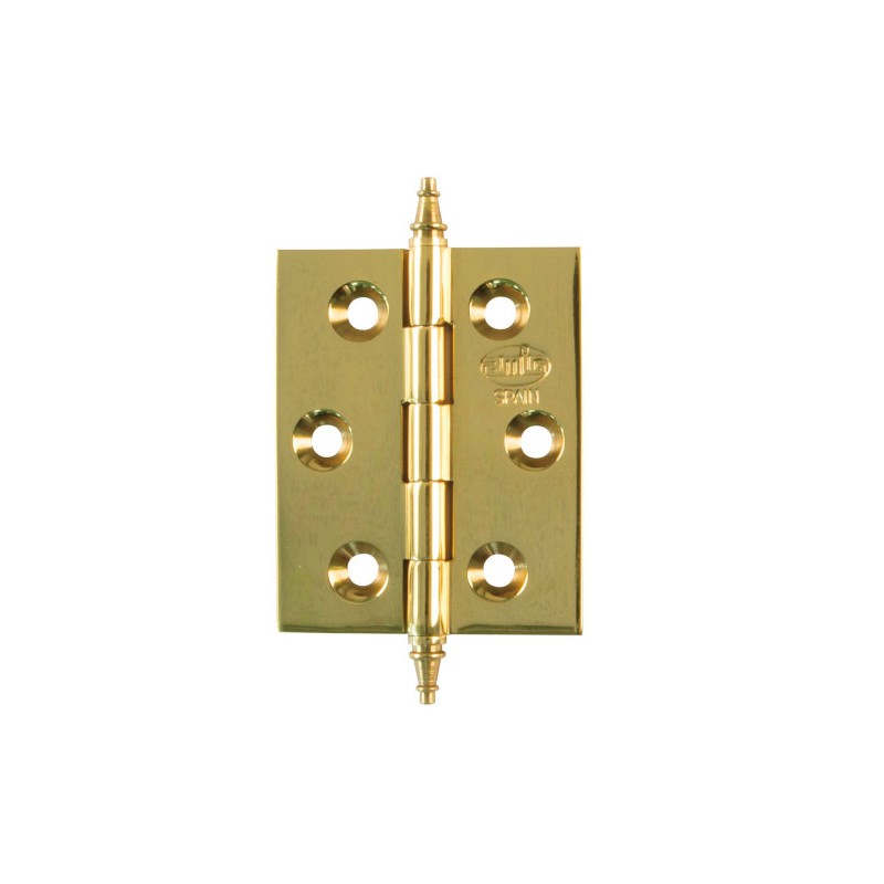 Zawias mosiężny lakierowany 50x40mm splatany mod. 1003 EAN