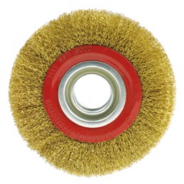 Szczotka tarczowa 300x22mm mod.34220