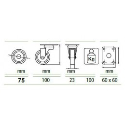 Kółko 2570-75x23 obr. płytka ham. transp