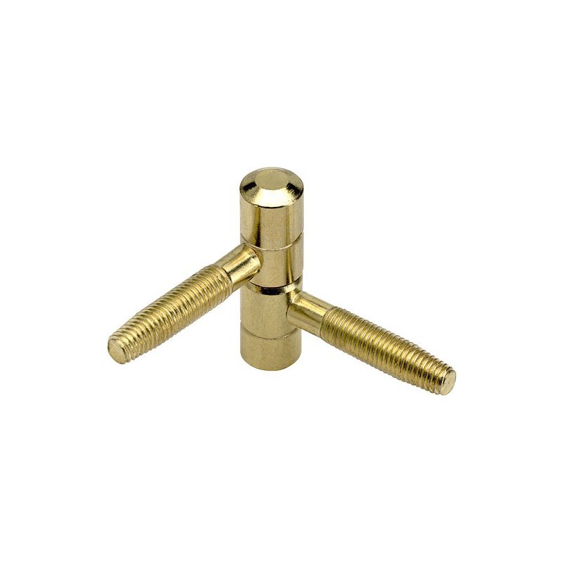 Zawias AGB 119-14x50 mosiądzowany