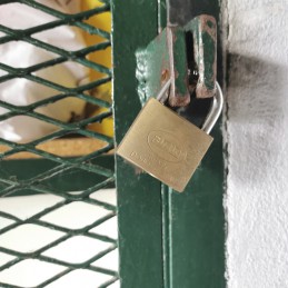 Kłódka 40mm mosiężna matowa mod.2