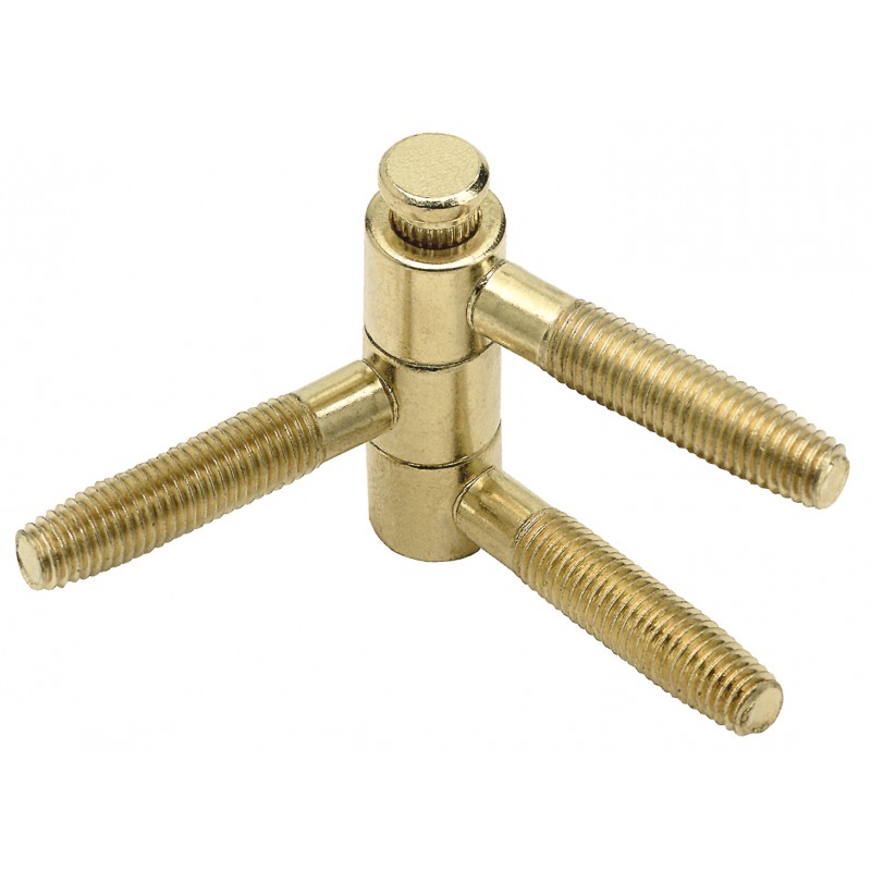 Zawias AGB Tria-13x38 mosiądzowany