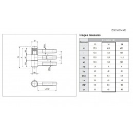 Zawias AGB Tria-14x43 mosiądzowany
