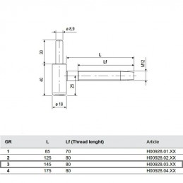 Zawias 145 śr.9x30 40-70 G sreb.mat.