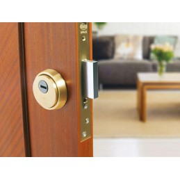 Szyld antywłamaniowy 65mm mosiądz satyna mod. 30