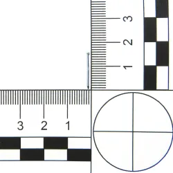 Gwóźdź do betonu 0,9x16mm płaski łeb żelazny cynkowany 295 sztuk